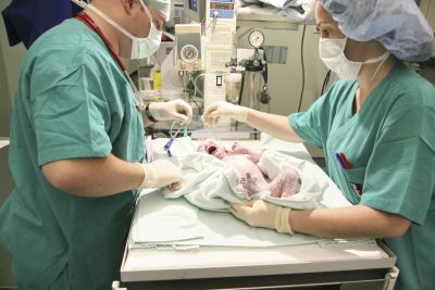 Neonatal nurse practitioner jobs in nc